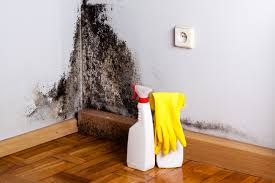 Reliable Elmira, NY Mold Prevention & Removal  Solutions